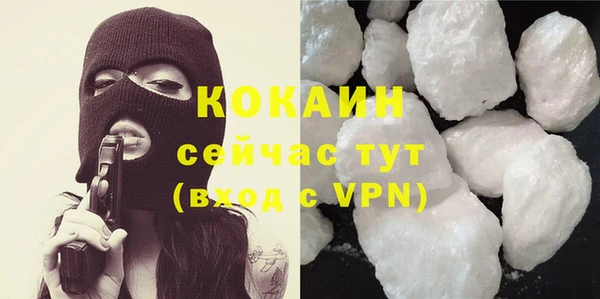 гашик Надым
