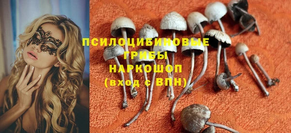 гашик Надым