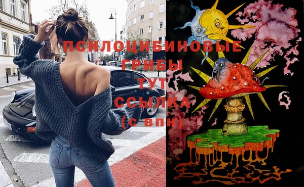 гашик Надым