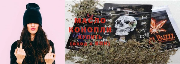 гашик Надым