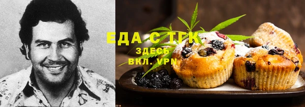 гашик Надым